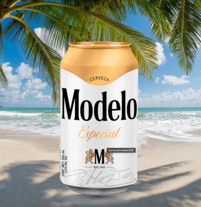 MODELO SPECIAL BEER (24 Pack