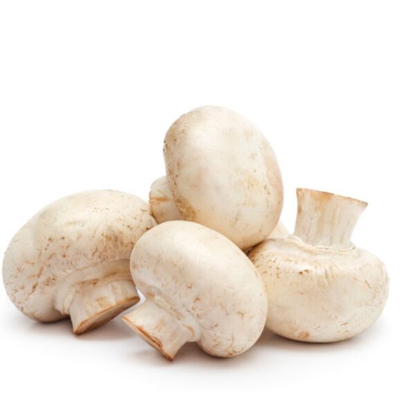 MINI WHITE MUSHROOM