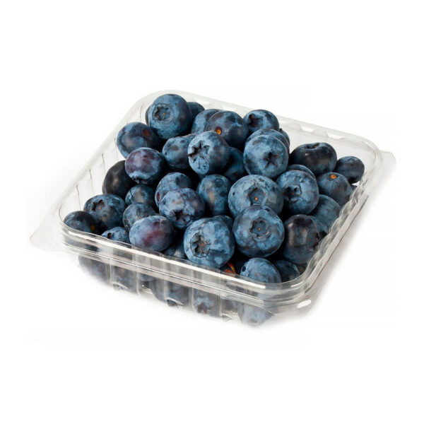 ORGANIC BLUEBERRY