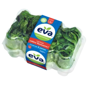 EVA MINE ROMAINE LETTUCE