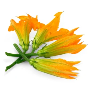 Squash blossoms 500Gr/1.2lb (20-25 fresh squash blossoms)