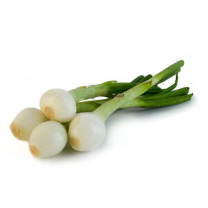 Cambray onions 15PZ
